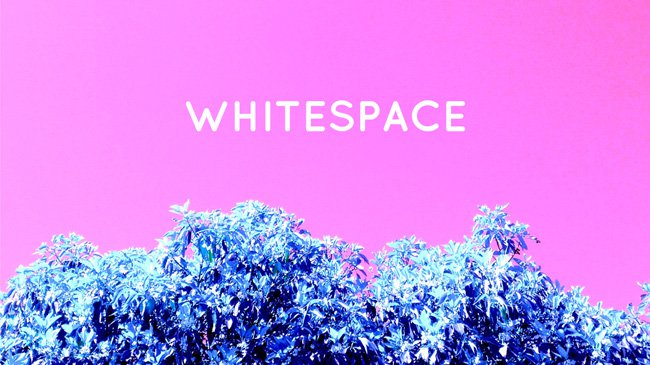 WHITESPACE